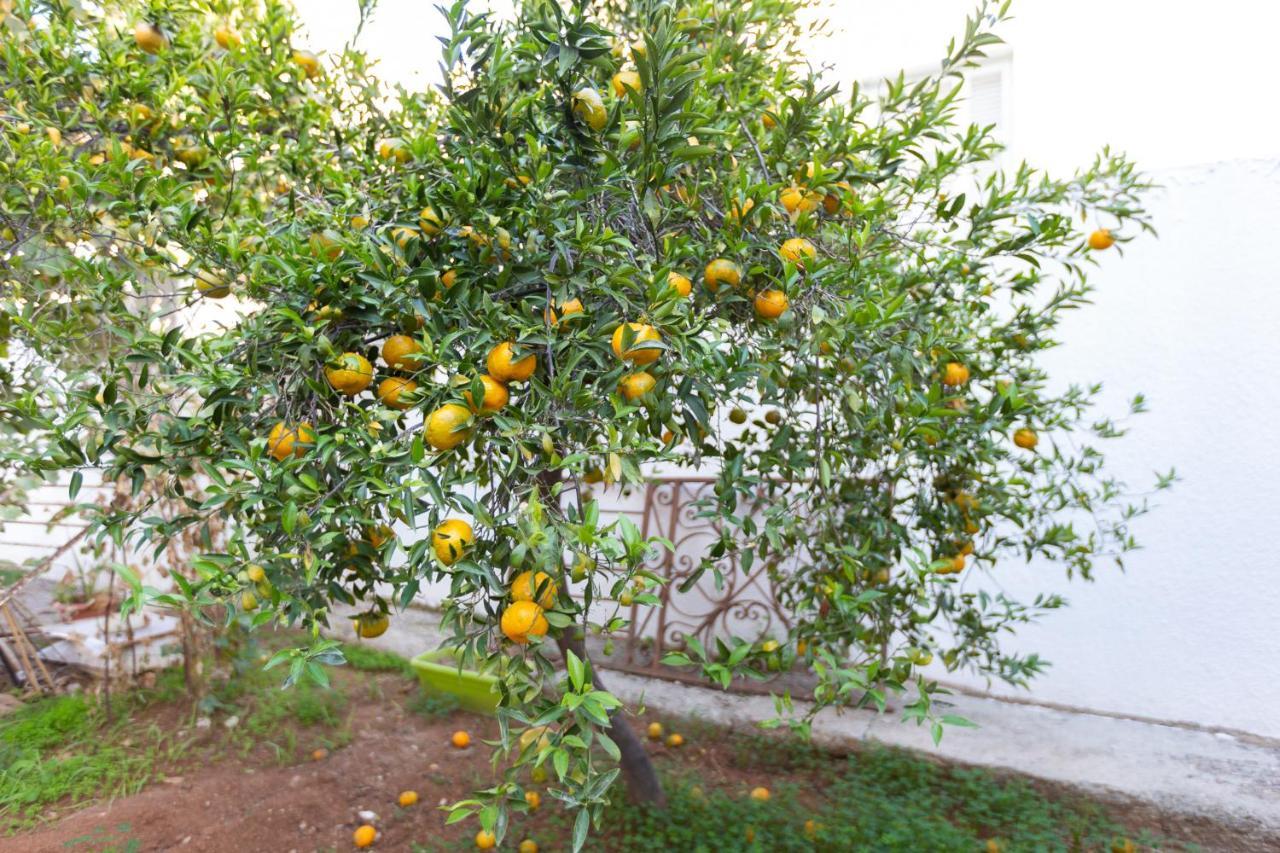 Laila'S Cozy Garden House & Studio Larnaca Zewnętrze zdjęcie